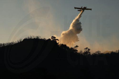 Υπό έλεγχο ο κίνδυνος επέκτασης πυρκαγιάς στη Σαλαμίνα, ισχυρές δυνάμεις παραμένουν στην περιοχή