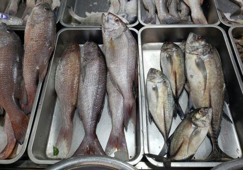 Estimated value of fishery product landings in Cyprus at €4.03 million in 2025