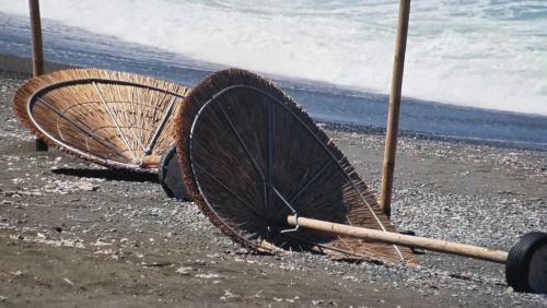 Στο «μικροσκόπιο» του Τμήματος Γεωργίας οι ζημιές από την καταιγίδα