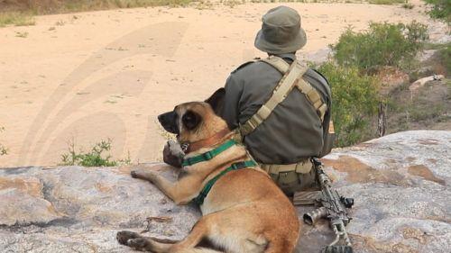 Aνδρας κατήγγειλε ότι δέχτηκε πυροβολισμό σε περιοχή κυνηγίου