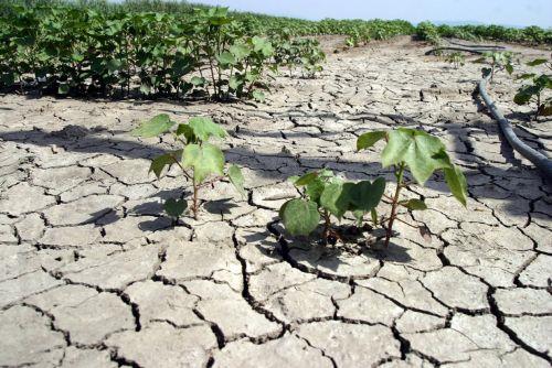 Το 53% της Ευρώπης και λεκάνης Μεσογείου επλήγη από ξηρασία μέσα Μαΐου