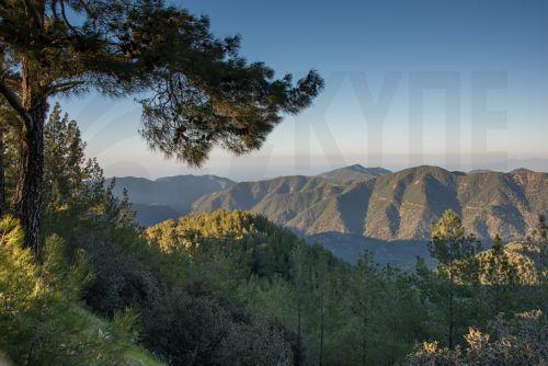 Greenhouse gases in Cyprus at historic high levels, Commissioner says