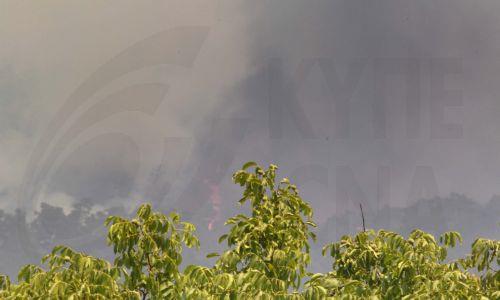 Ενδείξεις για καψάλισμα χόρτων μετά από πυρκαγιά στη Σολέα