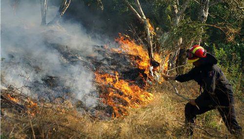 Αυξημένος κίνδυνος πυρκαγιών λόγω σφοδρών ανέμων, προειδοποιεί το ΤΔ