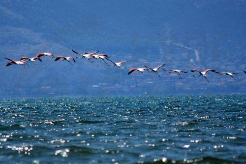Νεκροί 22 μετανάστες ανοιχτά της Ελλάδας μετά από έξι ημέρες στη θάλασσα