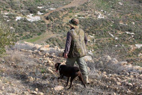 Απλοποιείται η διαδικασία αδειοδότησης των χώρων εκπαίδευσης κυνηγετικών σκύλων