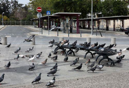Πρόστιμο σε εταιρεία λεωφορείων για παράλειψη καθορισμού προληπτικών και προστατευτικών μέτρων