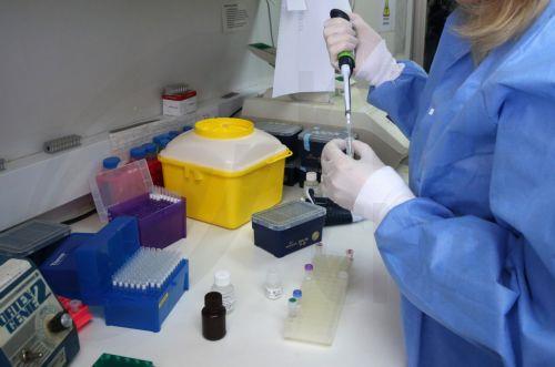 CING researchers develop new genetic test for families at risk of inherited diseases