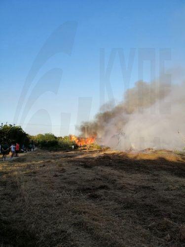 Υπό πλήρη έλεγχο δασική πυρκαγιά στο κρατικό δάσος Αλυκής