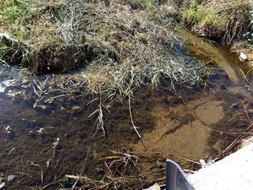 Δήμος Λάρνακας: Συνεχίζονται οι συστηματικοί ψεκασμοί κουνουπιών