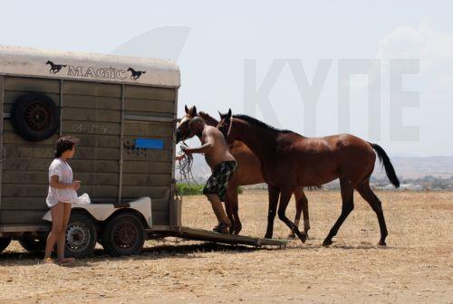 University of Nicosia starts upgrading equine clinic at Nicosia Race Club