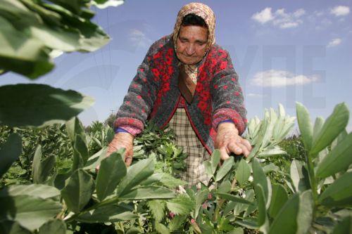 Συμμετοχή Δήμου Αθηένου σε ευρωπαϊκό πρόγραμμα για ενδυνάμωση γυναικών υπαίθρου