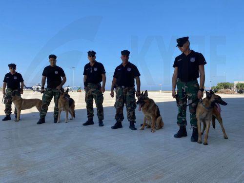 Έρευνες σε τρία σπίτια στη Λεμεσό από το Κλιμάκιο Πάταξης Λαθροθηρίας της ΜΜΑΔ