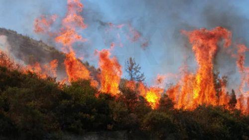 Υπό πλήρη έλεγχο δασική πυρκαγιά στην κοινότητα Καμπιών