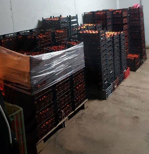 Turnover value of wholesale trade up 4.8% in Q3, 2025