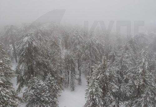 Έντονη βροχόπτωση και πυκνή ομίχλη στο Τρόοδος, προσοχή στους οδηγούς συστήνει η Αστυνομία