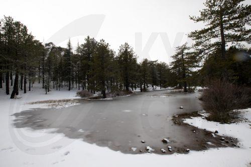 Πρώτο βραβείο για το ντοκιμαντέρ “Troodos Rising to the Stars”