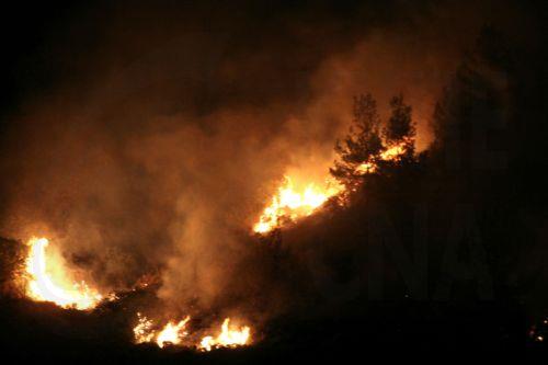 Υπό έλεγχο πυρκαγιά στην περιοχή Γεφύρι του Λιμνίτη χάρη σε επέμβαση πολιτών