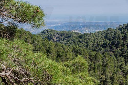 Βελτίωση διαδικασιών για χειρισμό επεμβάσεων σε δασική γη ζητά η Επ. Περιβάλλοντος