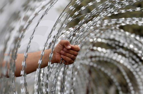 Turkish occupation of Cyprus violates EU fundamental rights, Cypriot MEP says
