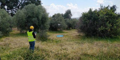Παράταση μέχρι τις 3 Ιουλίου για ενιαία αίτηση εκταρικών επιδοτήσεων