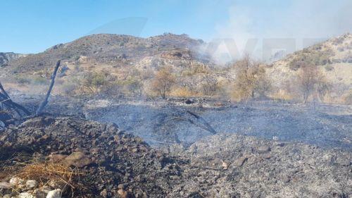 Σύσκεψη την Τρίτη για πυρκαγιές λόγω υψηλών θερμοκρασιών και καύσωνα λέει στο ΚΥΠΕ ο Κεττής