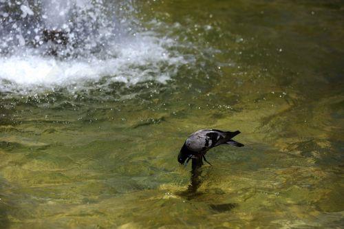 Συνεχίζονται οι διακοπές στην υδροδότηση της Πέγειας λόγω βλάβης