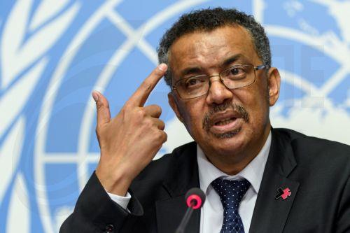 WHO DG praises Cyprus for longstanding constructive cooperation