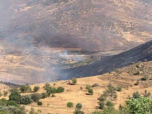 Πυρκαγιά στο Νέο Χωριό Πάφου, στη μάχη οι δυνάμεις  πυρόσβεσης
