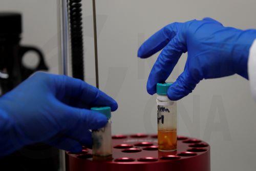 Τοξικός μύκητας της «κατάρας των Φαραώ» μετατρέπεται σε φάρμακο κατά λευχαιμίας