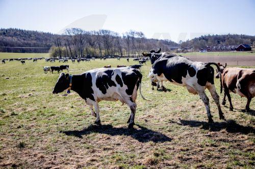 Ο γεωργικός τομέας να παραμείνει βιώσιμος και ανταγωνιστικός, λέει η Μ.Παναγιώτου
