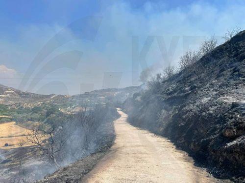 Στη μάχη με τις φλόγες επίγεια και εναέρια μέσα στα Κελοκέδαρα Πάφου