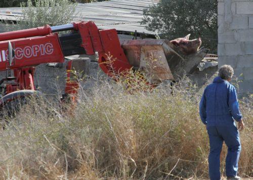 Σε ευλαβική τήρηση των μέτρων βιοασφάλειας καλεί ο Πρόεδρος Συνδέσμου Χοιροτρόφων