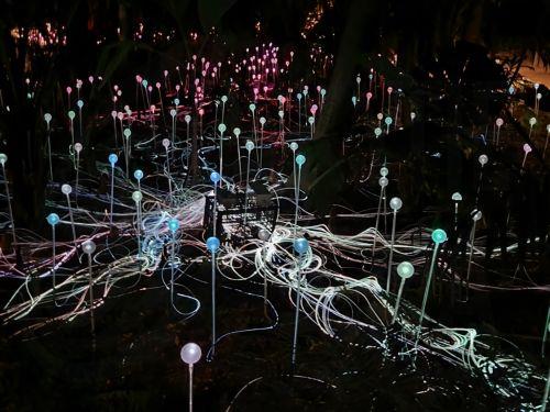 Four out of five internet connections in Cyprus at a speed of 100Mbps or higher