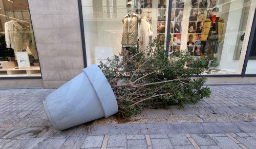 Σε 129 κλήσεις ανταποκρίθηκε η ΠΥ για πτώσεις δέντρων, απεγκλωβισμό οδηγών