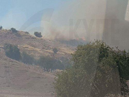 Υπό έλεγχο η πυρκαγιά στη Στενή που κατέκαψε πέντε δεκάρια άγριας βλάστησης