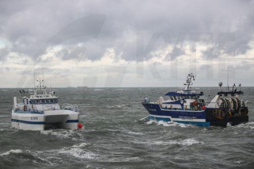 Κοινό πλαίσιο στην ΕΕ για τη ζύγιση των αλιευτικών προϊόντων