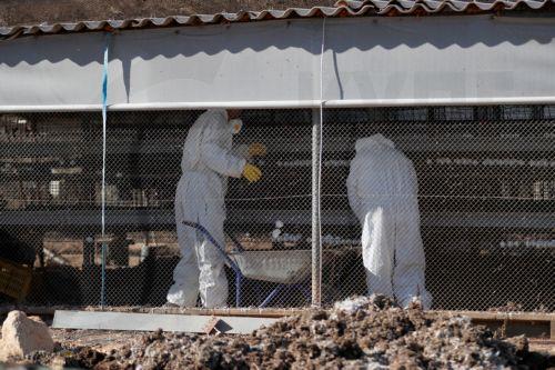 Περιστατικά γρίπης πτηνών ανακοίνωσε η Λετονία