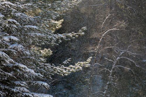 Αναστολή λειτουργίας κατασκηνωτικού χώρου Πλατανιών για εργασίες αναβάθμισης
