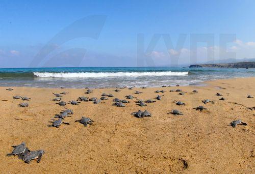 ΤΑΘΕ: Έως €20 χιλ. τα πρόστιμα για παραβάσεις των Κανονισμών Αλιείας 2026