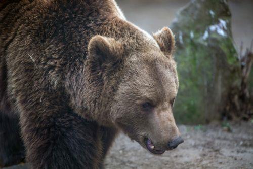 Να τερματιστεί η ανοχή στη λειτουργία του Melios Zoo Park ζητά η ΟΠΟΚ
