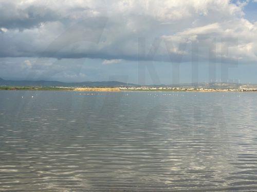 Έντονη ανησυχία Δήμου Λάρνακας και υπηρεσιών για παράνομη είσοδο οχημάτων στην Αλυκή