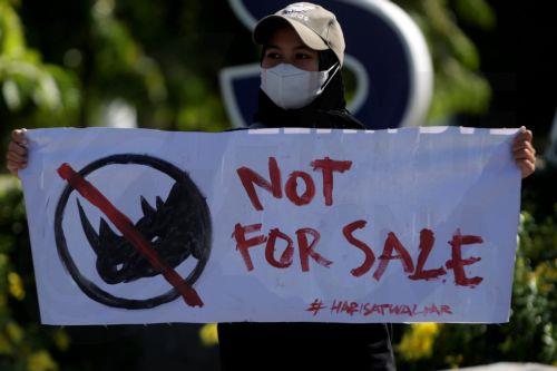 O Ρόνι Γουντ συμμετέχει σε καμπάνια προστασίας της άγριας ζωής