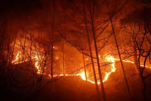 Έντεκα χιλιάδες άνθρωποι εγκατέλειψαν τις εστίες τους λόγω πυρκαγιών στον Καναδά