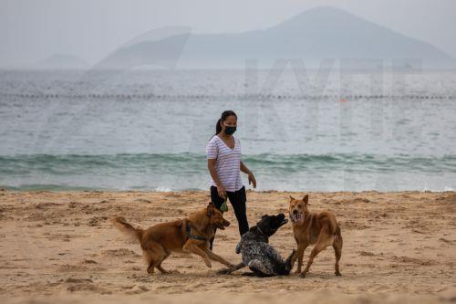 Μαθηματικό μοντέλο από ερευνητές για αναγέννηση παραλιών ύστερα από καταιγίδες