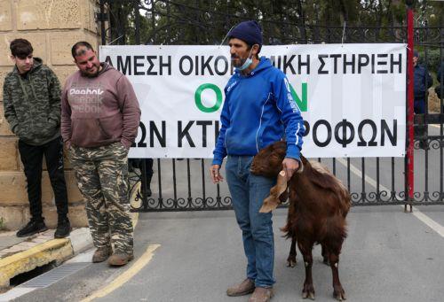 Άμεσα η καταβολή αποζημιώσεων για τον αφθώδη πυρετό, διαβεβαίωσε ο Πρόεδρος