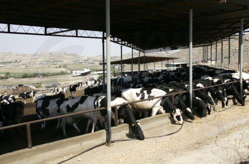 Ευκαιρία στον διάλογο δίνουν οι κτηνοτρόφοι, συναντώνται τη Δευτέρα με την Υπουργό
