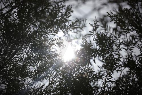 Στη Λευκωσία η 9η Διεθνής Υπουργική Σύνοδος για το Περιβάλλον στην Ευρώπη