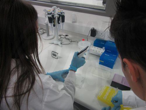 Την αντισυνταγματικότητα πρόνοιας για λήψη σάλιου από υπόπτους εξετάζει το Ανώτατο Συνταγματικό