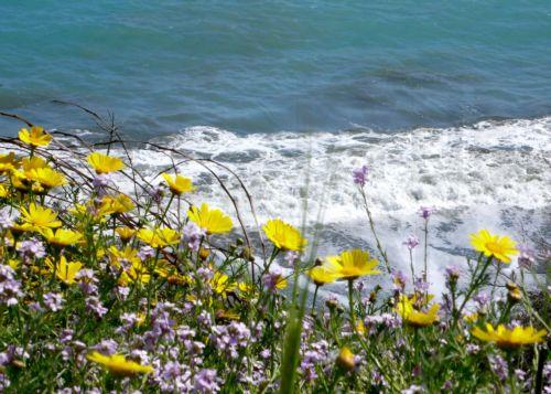 Η Κύπρος φιλοξενεί το 4ο Βιογεωγραφικό Σεμινάριο για τις περιοχές Natura 2000